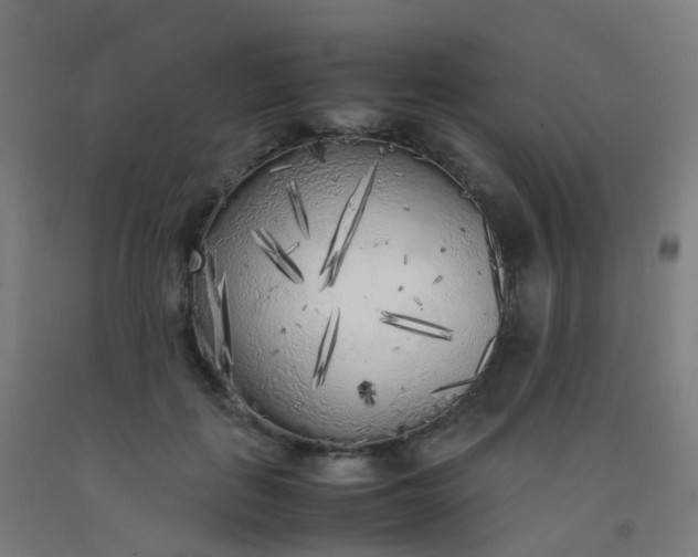X0000092330651200709281427