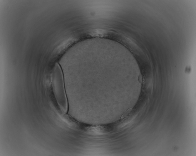 X0000092330652200709281427