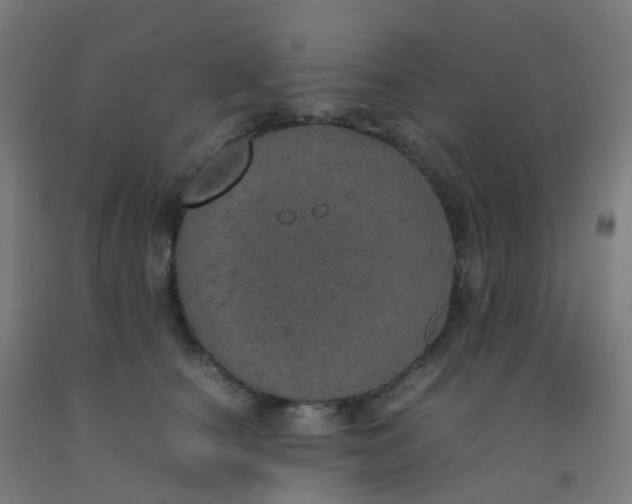 X0000092330660200709281427