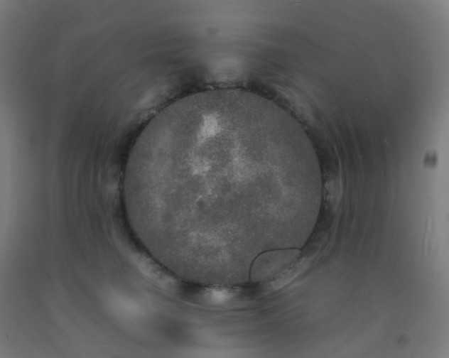 X0000092330662200709281427