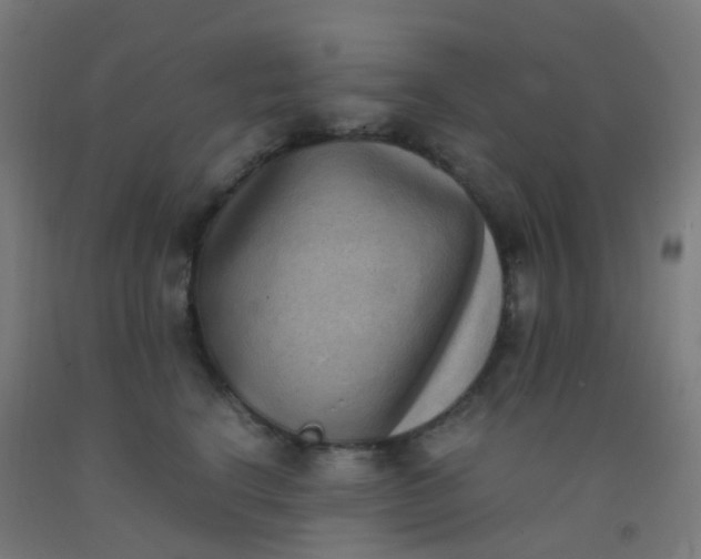 X0000092330664200709281427