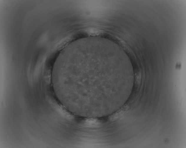 X0000092330666200709281427