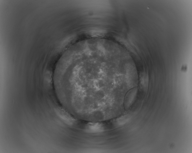X0000092330667200709281427