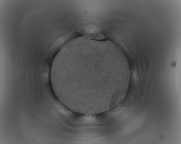 X0000092330668200709281427