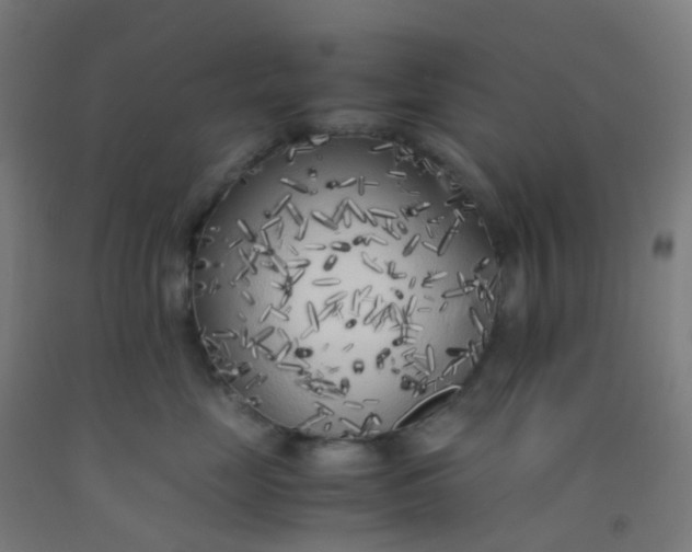 X0000092330669200709281427