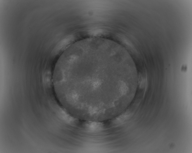 X0000092330670200709281427