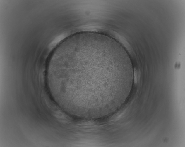 X0000092330675200709281427