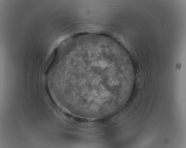 X0000092330679200709281427