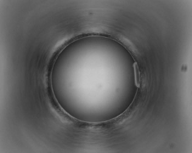 X0000092330680200709281427
