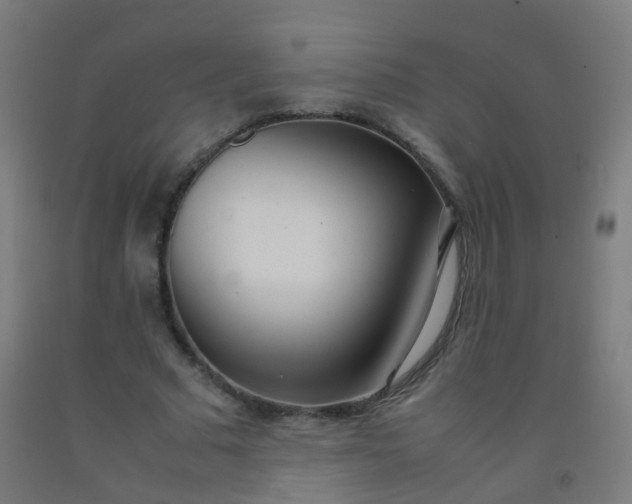 X0000092330681200709281427