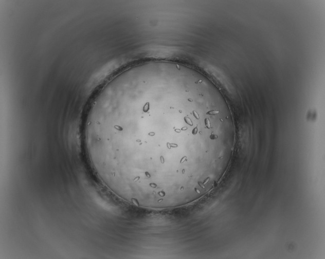 X0000092330682200709281427
