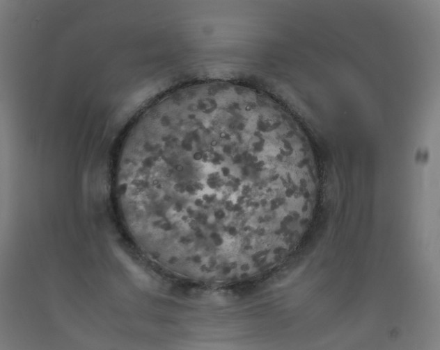 X0000092330683200709281426