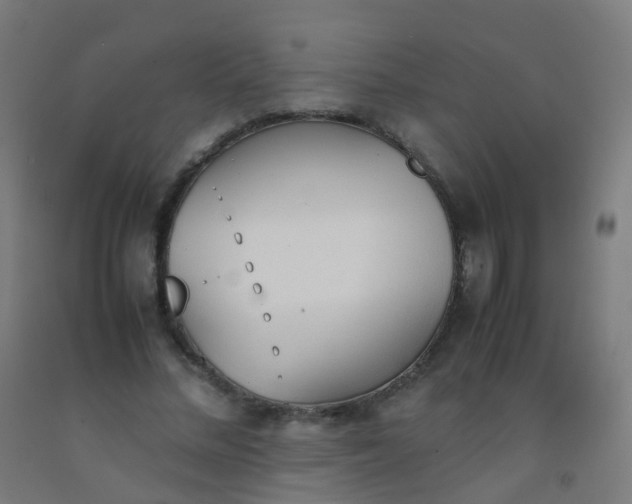 X0000092330684200709281426