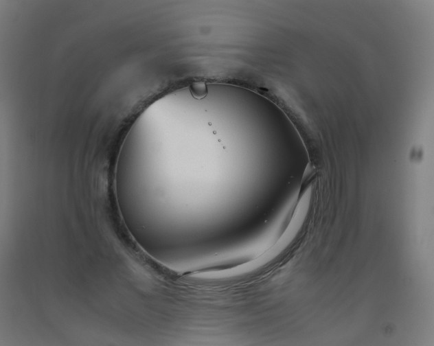 X0000092330685200709281426