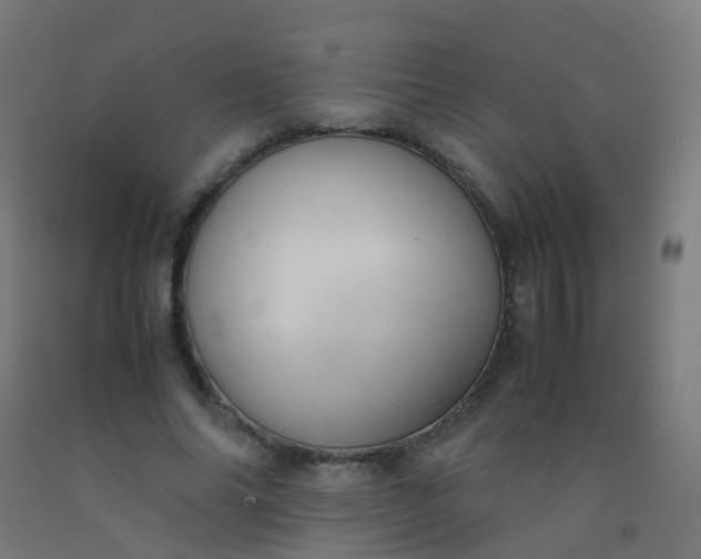 X0000092330686200709281426