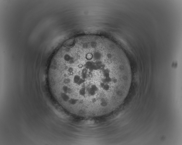 X0000092330687200709281426