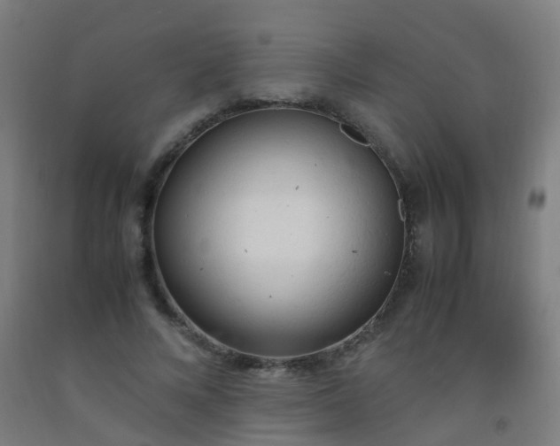 X0000092330688200709281426
