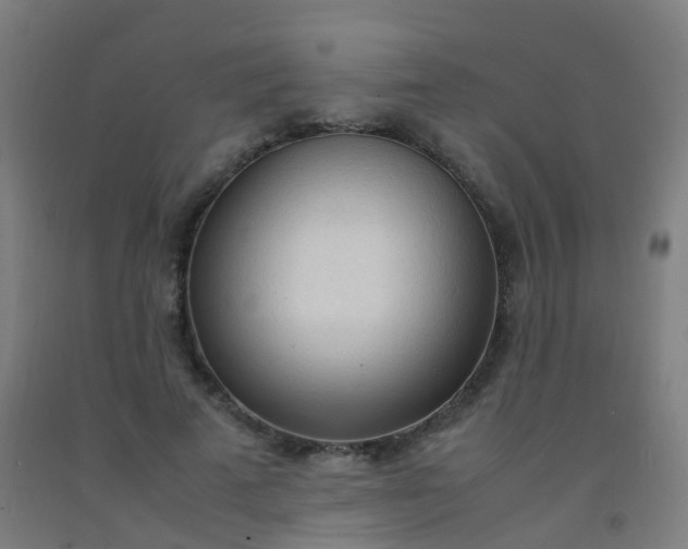 X0000092330689200709281426