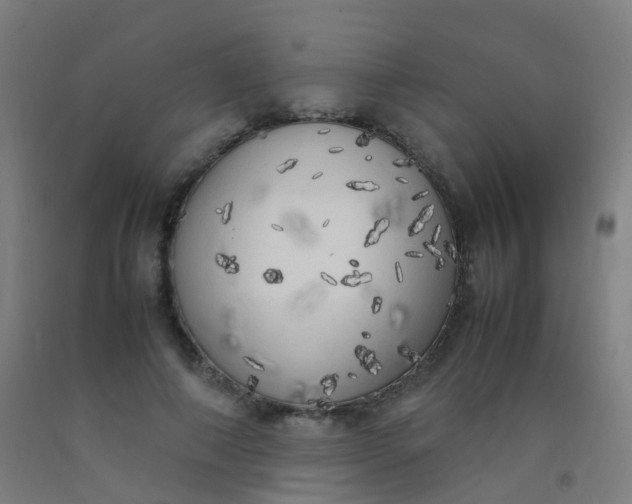 X0000092330690200709281426