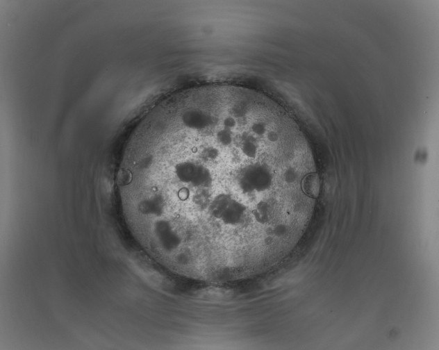 X0000092330691200709281426