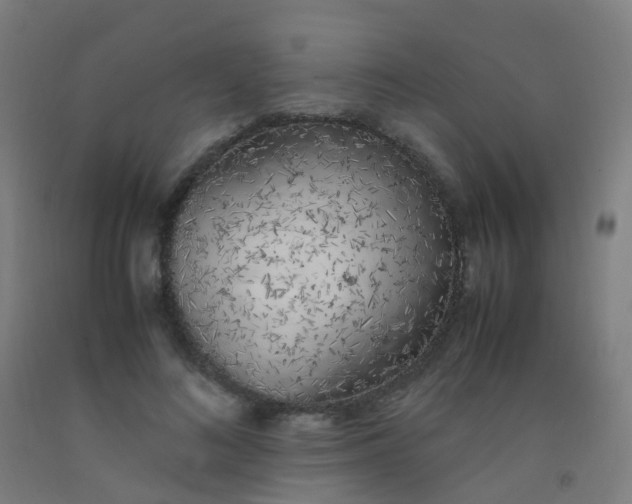 X0000092330692200709281426