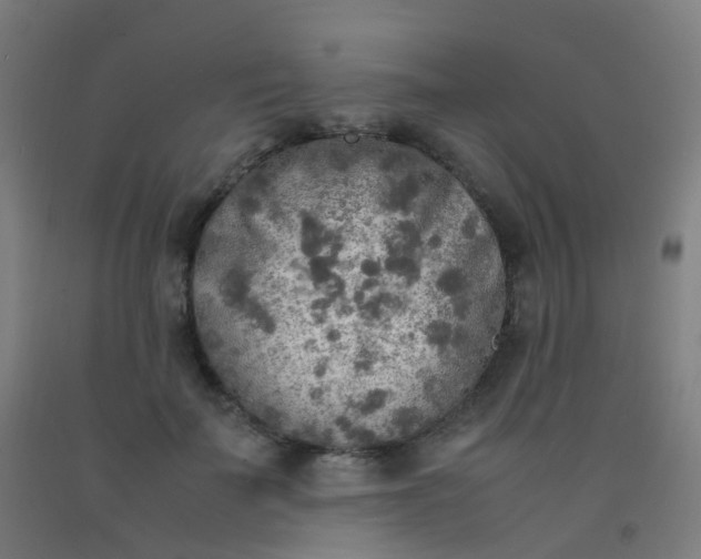 X0000092330699200709281426