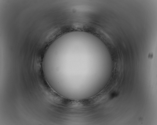 X0000092330702200709281426