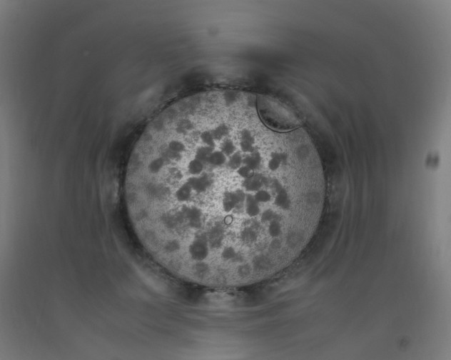 X0000092330703200709281426