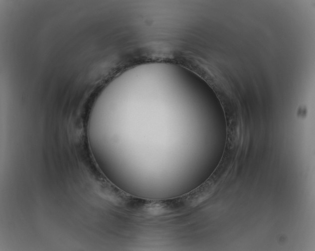 X0000092330704200709281426