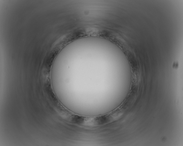 X0000092330705200709281426