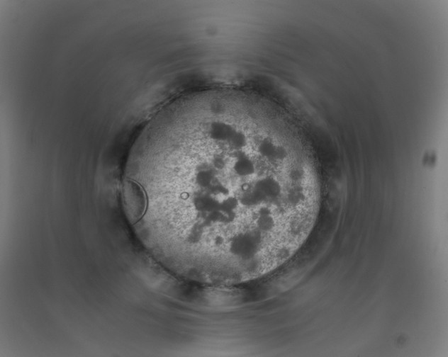 X0000092330707200709281426