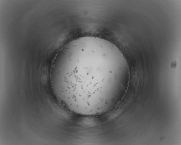X0000092330708200709281426
