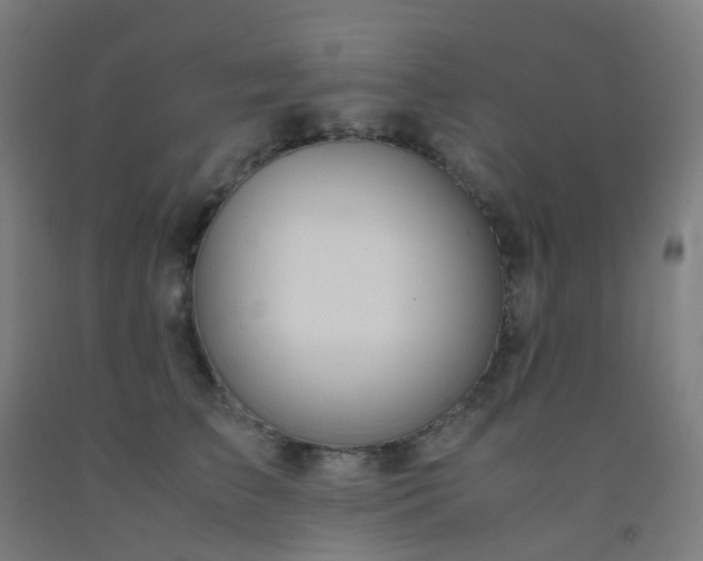 X0000092330709200709281426