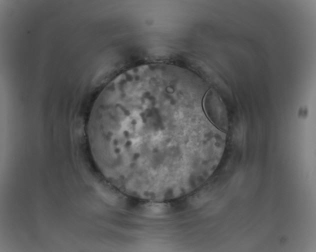 X0000092330711200709281426