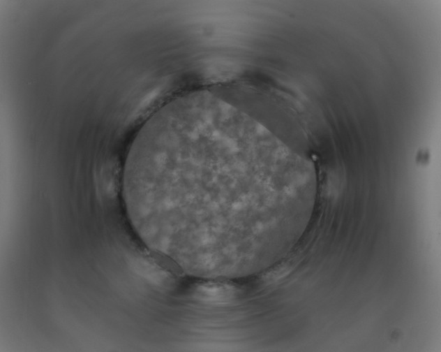X0000092330712200709281426