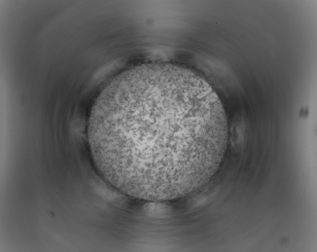 X0000092330714200709281426