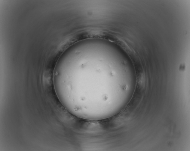 X0000092330715200709281426