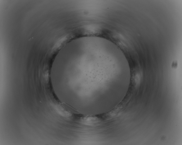 X0000092330716200709281426