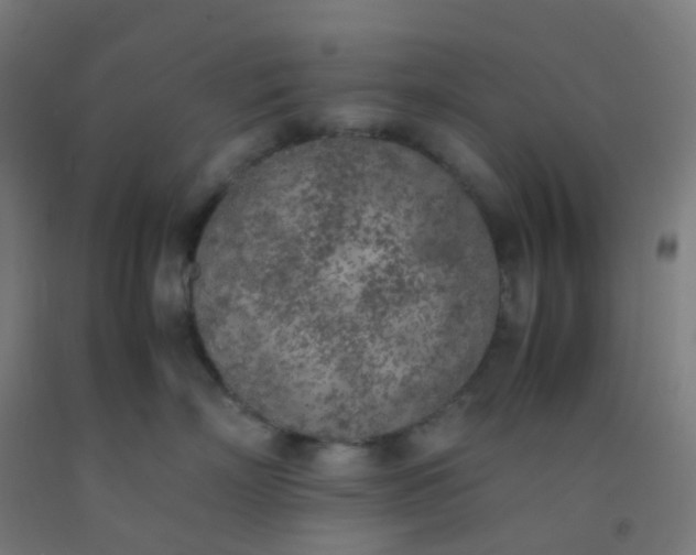 X0000092330718200709281426
