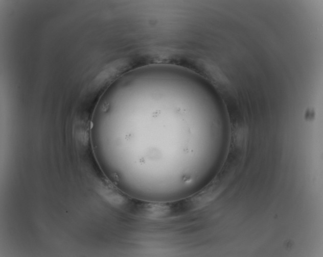 X0000092330719200709281426
