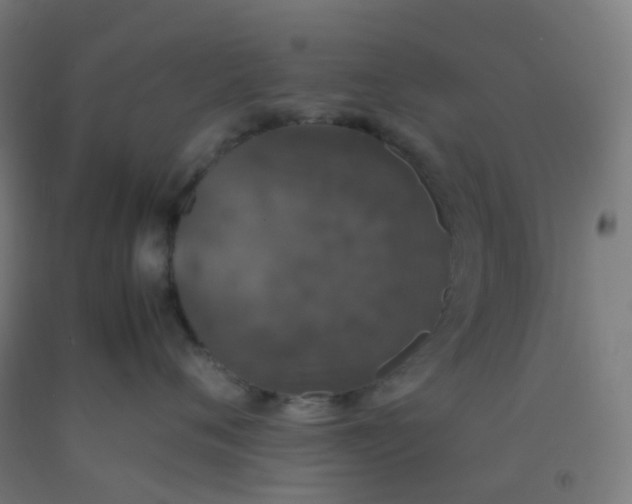 X0000092330720200709281426