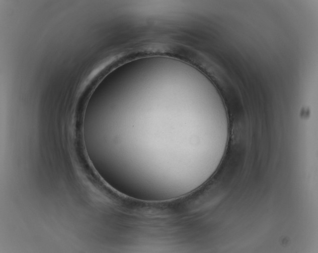 X0000092330722200709281425