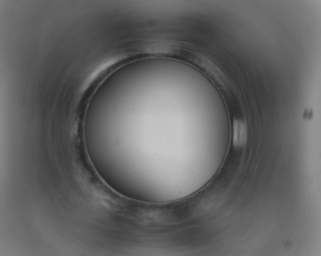 X0000092330723200709281425