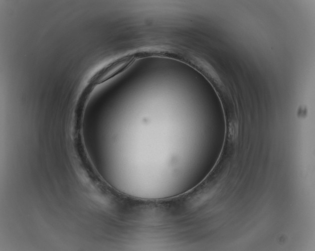 X0000092330724200709281425