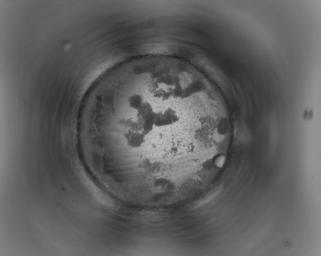 X0000092330725200709281425