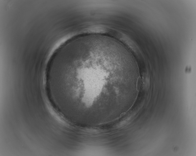 X0000092330726200709281426