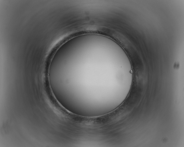 X0000092330728200709281426