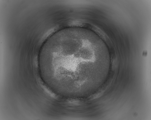 X0000092330729200709281426