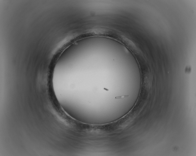 X0000092330730200709281426
