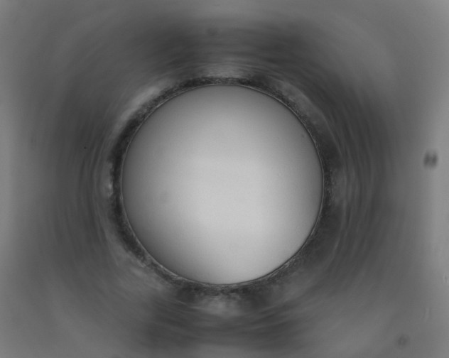 X0000092330731200709281426